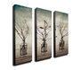 Wallity CU12 Lienzo Decorativo Multicolor (3 Piezas)